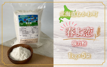 春よ恋(強力粉) 1kg×5袋 【 ふるさと納税 人気 おすすめ ランキング 春よ恋 小麦粉 ブランド小麦 国産小麦 こむぎ 小麦 強力粉 北海道 むかわ町 送料無料 】 MKWR006