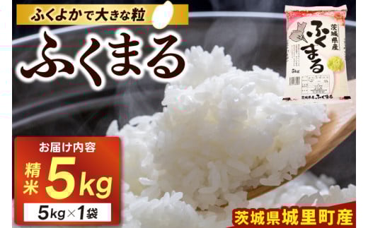精米 5kg ふくまる お米 米 ご飯【令和6年産】城里町 桂農産 フクマル【配送不可地域：離島】 (AX006)