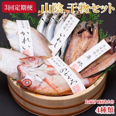 ふるさと納税 出雲市 【定期便3回】海の幸干物セット　Bを3回お届け!【3-082】