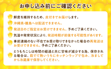 【令和6年産先行受付】生でも美味しい！ とうもろこし 「 サニーショコラ 」 10本（Lサイズ）