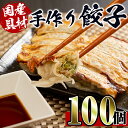 【ふるさと納税】国産豚肉使用！手作り餃子100個セット(10個×10パック） 餃子 ぎょうざ 冷凍 おかず 豚肉 国産 手作り おつまみ 晩御飯 焼くだけ 簡単調理 安心安全 【スーパーよしだ】