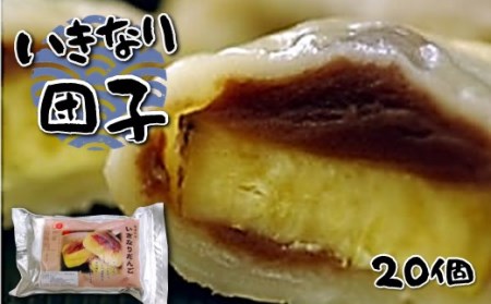 【ふるなび限定】 和水 いきなり団子 20個 FN-Limited | 熊本県 熊本 くまもと 和水町 なごみまち なごみ お菓子 和菓子 郷土料理 団子 あんこ さつまいも あん 5個