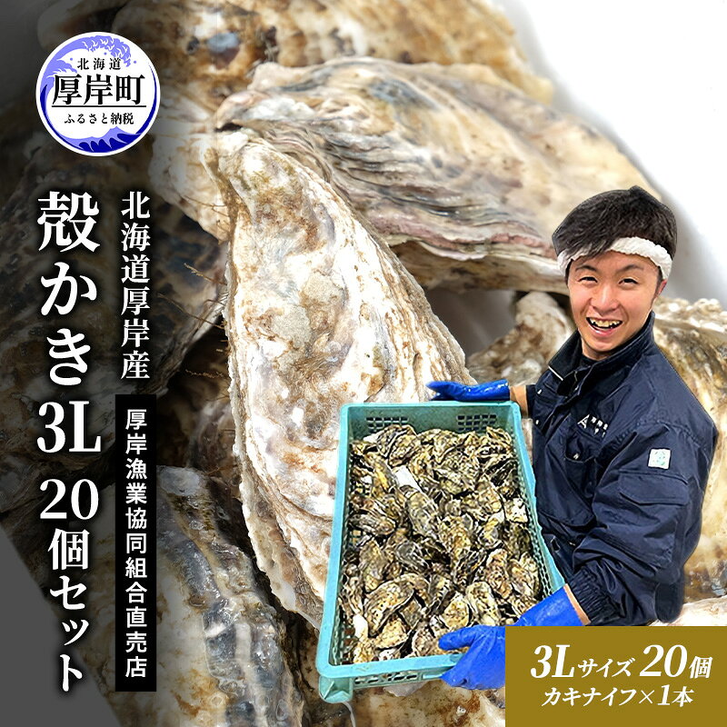 【ふるさと納税】牡蠣 殻付き 生食 3L20個 北海道 厚岸産 マルえもん【厚岸漁業協同組合】カキナイフ付 [ カキ かき 生牡蠣 殻かき オイスター 冷蔵 ］