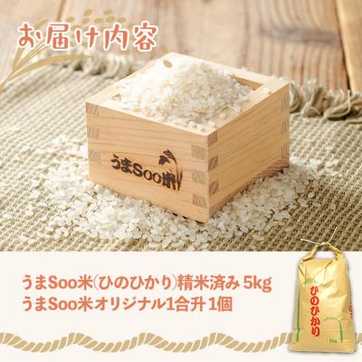 ふるさと納税 曽於市 【2025年11月以降順次発送予定】柏木さんこだわりのうまSoo米(5kg) |  | 01