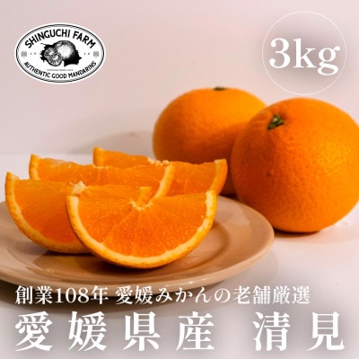 【創業108年】愛媛みかんの老舗【清見 3kg】【C70−71】【1615835】