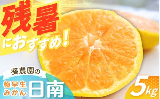 【先行予約】 【秀品】 極早生みかん 日南 5kg（サイズ混合） ※2025年10月より順次発送  / みかん ミカン 蜜柑 和歌山 早生 極早生 日南 温州 田辺市 紀州 くだもの 柑橘 フルーツ 【aoi003-1】