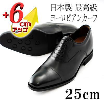 ふるさと納税 大和郡山市 ヨーロピアンカーフ 6cmアップシークレットシューズ ビジネス No.CA1301 黒 25cm