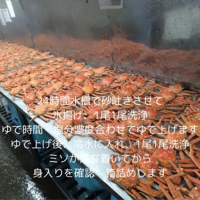 ふるさと納税 白老町 訳ありオオズワイガニ　4尾から5尾入で2kg　冷凍便 |  | 02