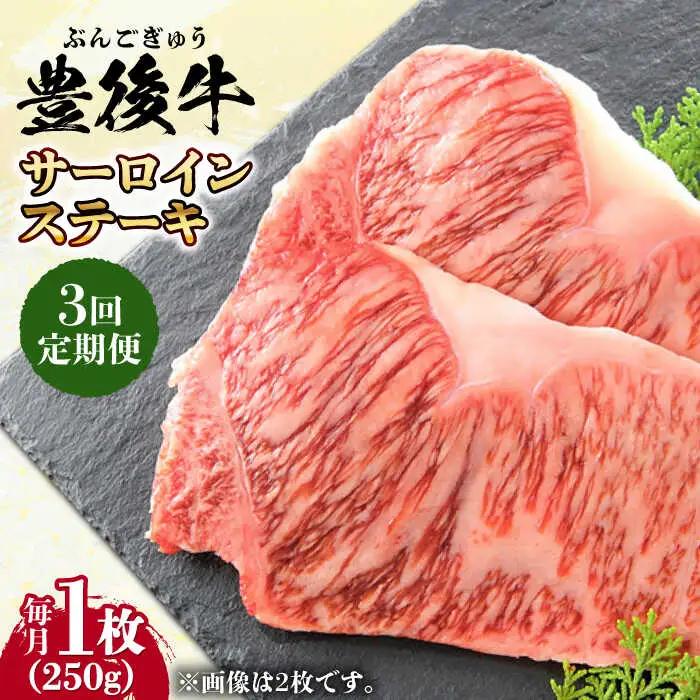 【全3回定期便】おおいた豊後牛 サーロインステーキ 250g (250g×1枚) サーロインステーキ [AREI053]