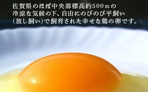 放し飼い！七山たまご 40個箱 (大玉) 玉子 生卵 鶏卵 佐賀県唐津産