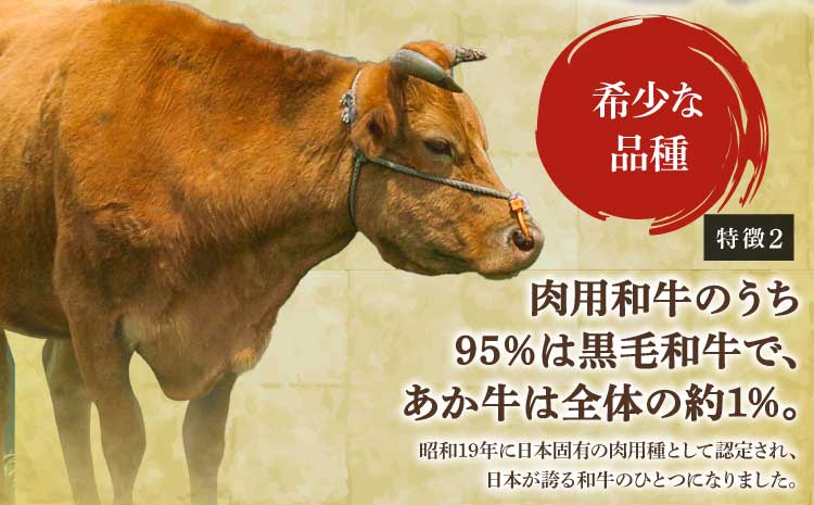地元ブランド くまもと あか牛 カルビ 焼肉 900g（450g×2パック）国産 和牛 牛肉 霜降り ブランド牛