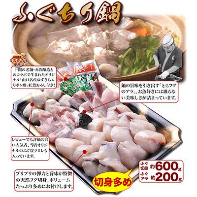 ふるさと納税 長門市 天然ふぐ鍋 とらふぐ刺身セット 4〜5人前 ツミレ付き |  | 02