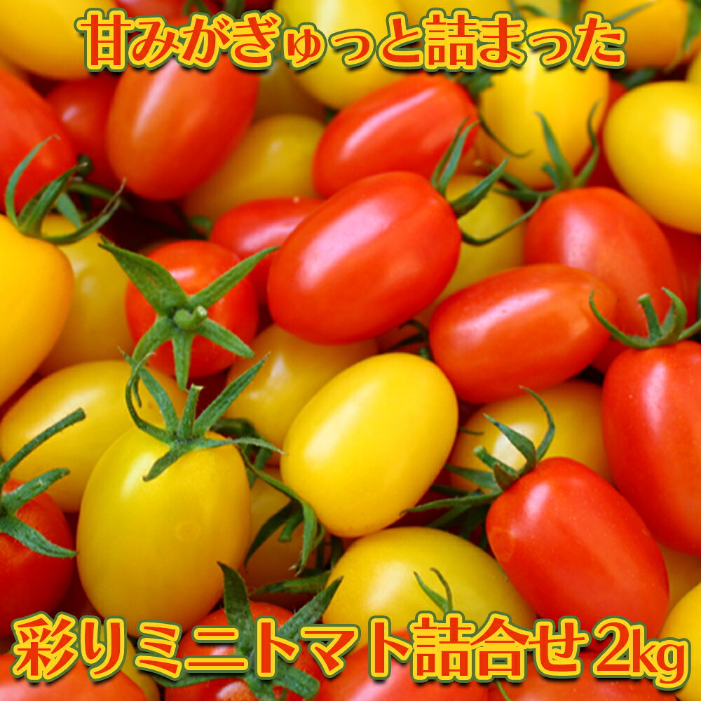 【ふるさと納税】甘みがぎゅっと詰まった 宮城県大崎市鹿島台産 彩りミニトマト詰合せ 2kg 大崎市 トマト