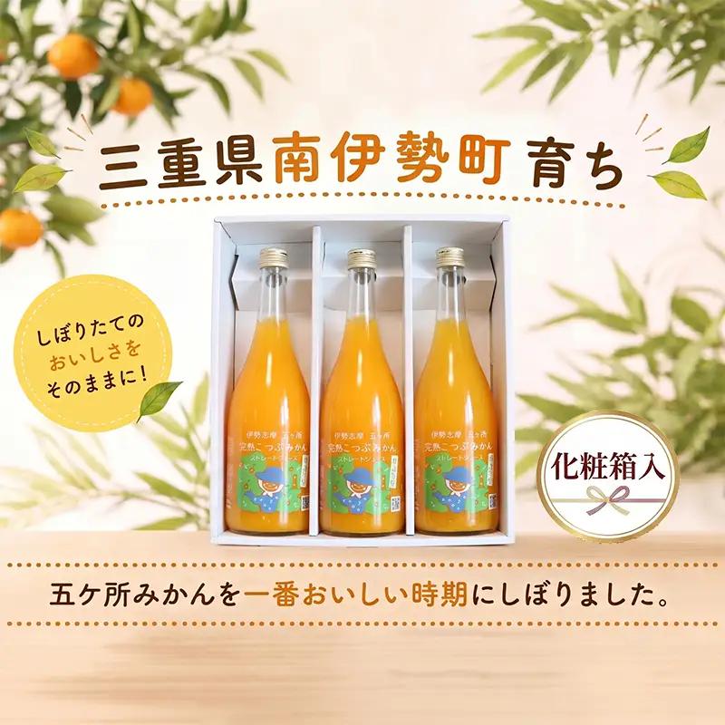 「完熟こつぶみかん」100%ストレートジュース 720ml 選べる容量 2本～3本 三重県 南伊勢町/土実樹農園 くだもの 果物 フルーツ みかん ミカンジュース みかんジュース ジュース 三重県産 