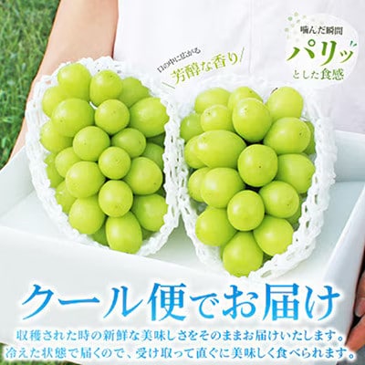 2027年発送 先行予約　山梨県産 シャインマスカット 約1kg(2～3房) 厳選果物【配送不可地域：離島・沖縄県】