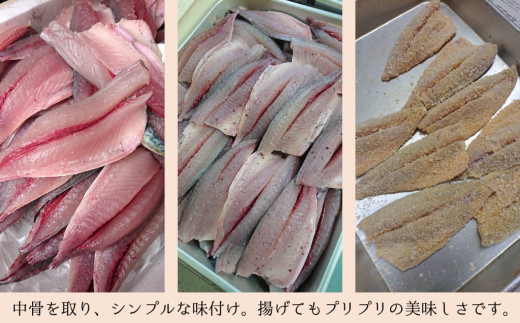 身がぷりぷり♪臼杵産サバフライ(2パック)