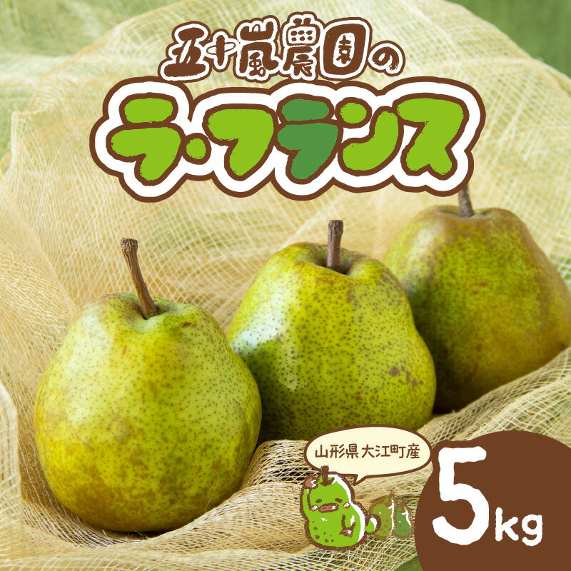 【ふるさと納税】《先行受付》大江町産 山形ラ・フランス 5kg 13〜20玉 L〜5L【2025年11月中旬頃〜発送予定】 フルーツ 果物 産地直送 ラフランス 洋梨 西洋梨 梨 らふらんす なし 山形県