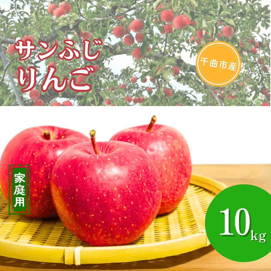 【ふるさと納税】【2025年先行予約】 【12月上旬頃~発送予定】訳あり サンふじ りんご 約10kg 林檎 リンゴ ふじりんご さんふじ サンフジ 千曲市 長野県産 信州