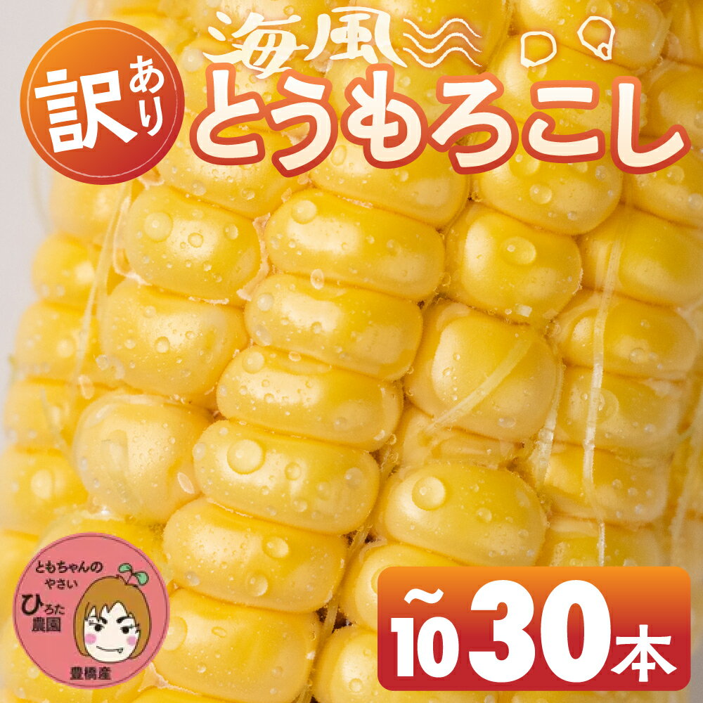 【ふるさと納税】≪先行予約≫ 令和8年産（2026年収穫）訳あり とうもろこし 10本 20本 30本 直売所で大人気 愛知県 豊橋市 夏野菜 野菜 ミネラルたっぷり 海風そだち 潮風 BBQ 家族で フードロス わけあり 規格外 大容量 豊橋 ともちゃんのやさい