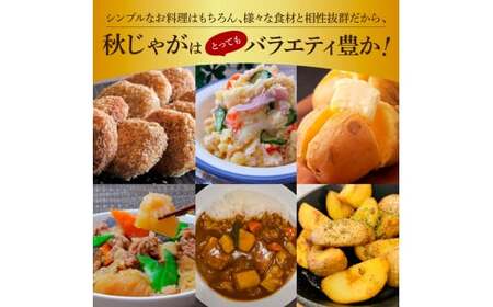 秋じゃがいも 令和8年産 5kg 訳あり 令和8年11月下旬発送開始【秋じゃがいも】