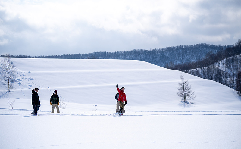 体験 北海道 冬季限定！ スノーシュー 体験チケット 4枚 (4名様参加可能) ioru 体験型 旅行 子供 大人 動物 アクティビティ アウトドア スポーツ ギフト券 チケット 券 絶景 初心者 遊