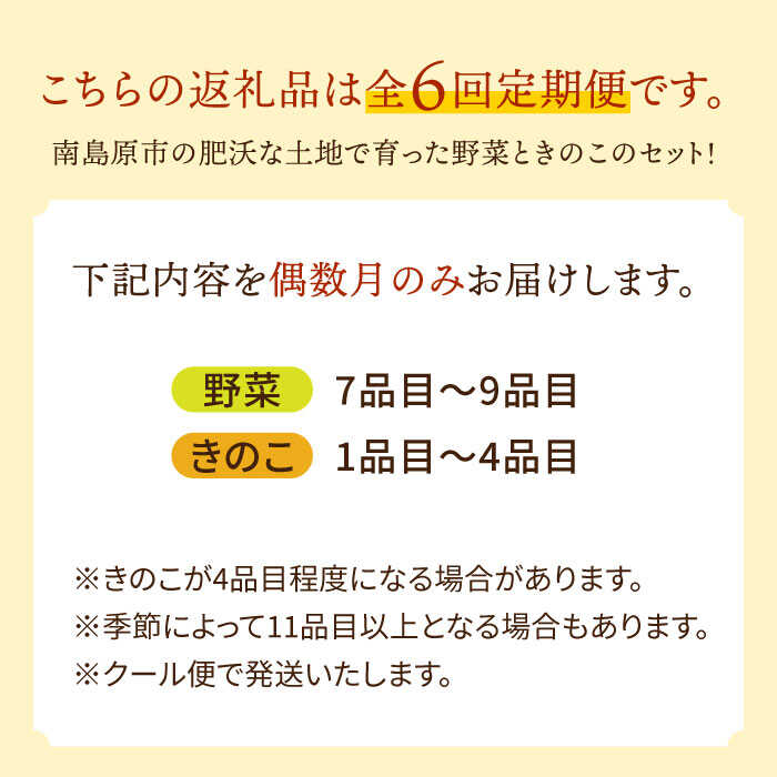 【偶数月コース】野菜 キノコ 10品目以上 詰め合わせ 6回 定期便  / 南島原市 / 吉岡青果 [SCZ006]_イメージ2