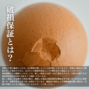 卵 赤卵 常温 40個 たまご 卵
