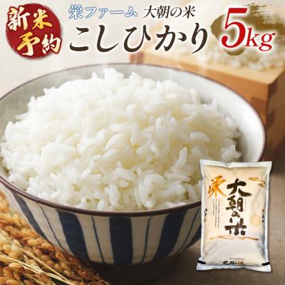 ふるさと納税 北広島町 栄ファーム 大朝の米 こしひかり(精米5kg)2026年産