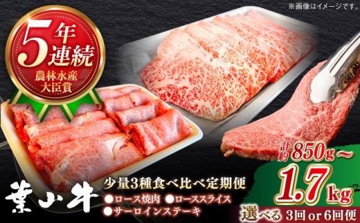 【全6回定期便】葉山牛 少量3種食べ比べセット(ロース・ローススライス・サーロインステーキ)／牛肉 肉 焼肉 神奈川県 葉山町【葉山牛ステーキレストラン 角車】 [ASBD025]