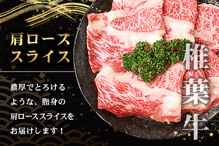 宮崎県産 椎葉牛 肩ローススライス 800g A5等級指定 牛肉 肩ロース 肩ローススライス すき焼き しゃぶしゃぶ TK-32