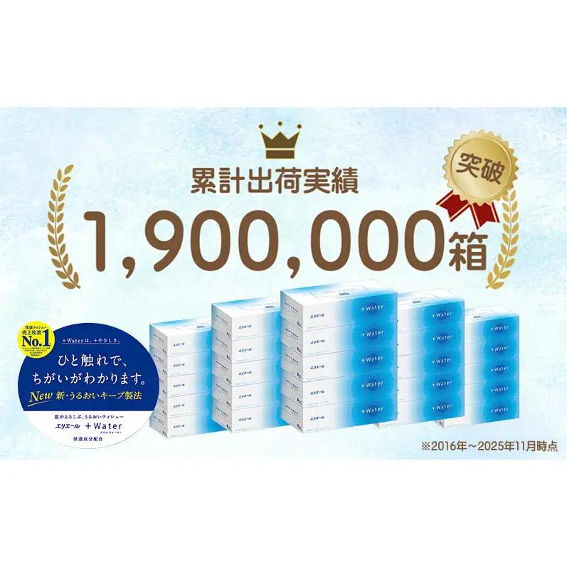 定期便 2ヵ月連続お届け エリエール ハーフサイズ 収納に便利 コンパクト 【少量5パック】 エリエール ＋Water 180組 5箱 5パック 計25箱 ティッシュペーパー 箱 やわらか 保湿成分配