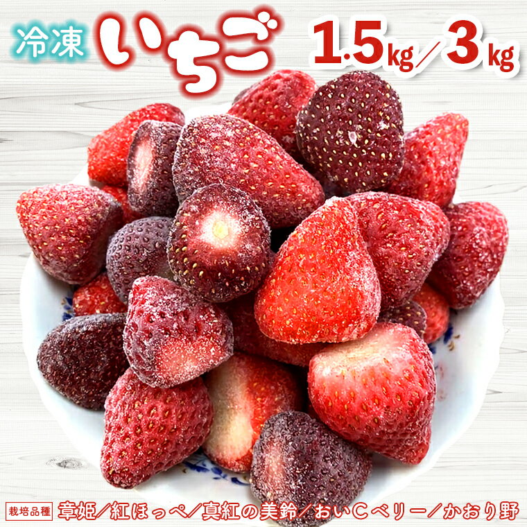 【ふるさと納税】いちご フルーツ 果物 ストロベリー ベリー 冷凍 おすすめ 完熟 1.5kg 1パック 3kg 1kg×3パック 数量限定 期間限定 富津アクアファーム 章姫 紅ほっぺ 真紅の美鈴 おいCベリー かおり野 黒いちご 送料無料 千葉県 富津市