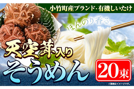 そうめん 椎茸 天空茸 入り そうめん 20束《30日以内に出荷予定(土日祝除く)》福岡県   素麺 椎茸 しいたけ 夏 麺 めんの山一