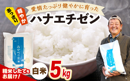 【先行予約】令和8年産 愛情たっぷり健やかに育った ツヤツヤ ハナエチゼン（白米）5kg【2026年9月上旬以降順次発送予定】 [m29-a024]