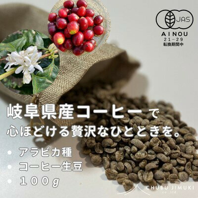 【ふるさと納税】岐阜県産コーヒー生豆 100g