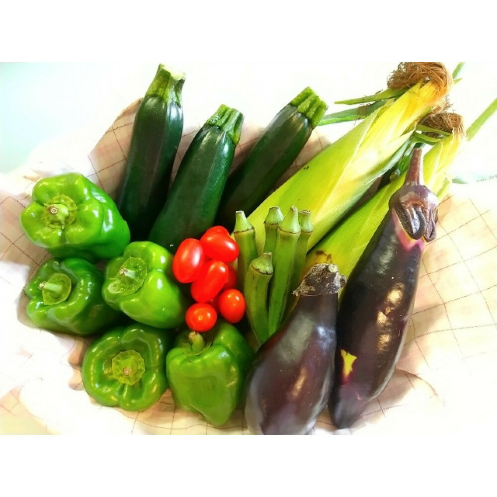 【ふるさと納税】瀬戸ガーネット　1kgと夏野菜詰め合わせセット3～4人分【6月下旬以降発送】