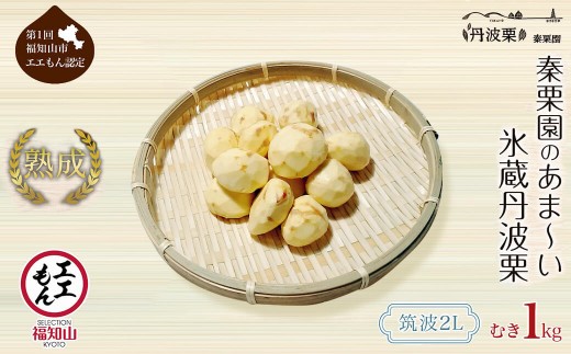＜先行予約受付中！2026年11月中旬以降順次発送予定！＞秦栗園のあま～い氷蔵丹波栗むき栗(筑波・2L・1kg) 【fc-AC003-F】【秦栗園】