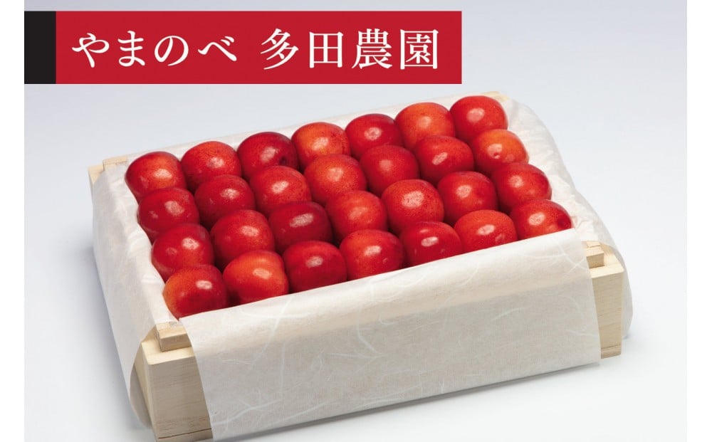 
            ＜先行予約＞【特選やまがた紅王】桐箱詰 約500g【やまのべ多田耕太郎のさくらんぼ 多田農園】
          