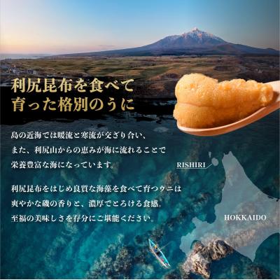 ふるさと納税 利尻町 【2026年発送受付】利尻島産 天然塩水生うに255g 利尻昆布育ちの旨みウニ(85g×3) |  | 01