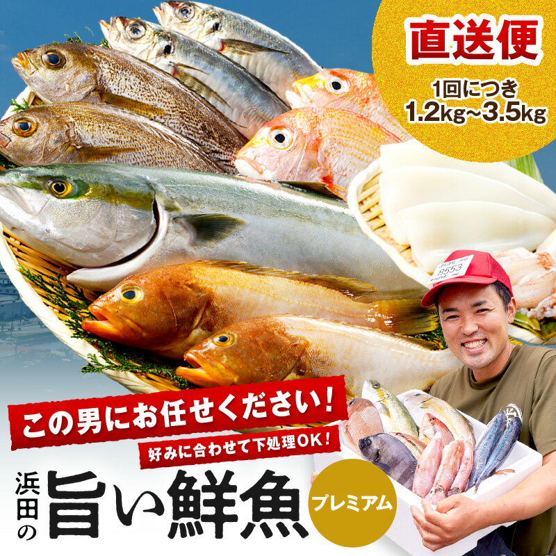 【ふるさと納税】浜田のプレミアム鮮魚〜この男シリーズ〜 海鮮 鮮魚 詰め合わせ セット おまかせ 人気 お取り寄せ 【006_2045】