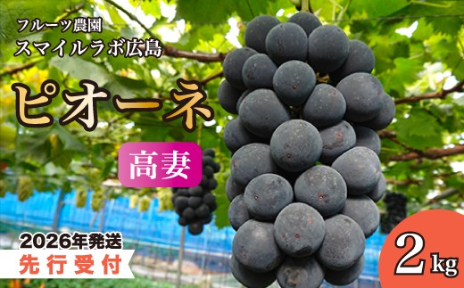 
            【先行受付】高妻2kg（ピオーネ）ブドウ 葡萄 高妻 新鮮 産地直送 広島県三原市【2025年9月頃より順次発送】 059004
          
