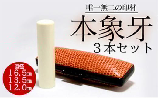 E408高級本象牙印鑑３本セット