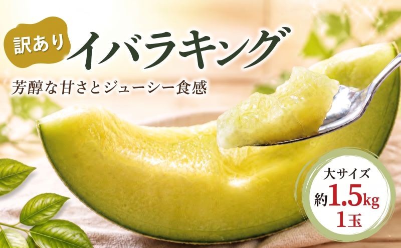 
                  【訳あり】イバラキングメロン（大）1玉（約1.5kg） メロン めろん meron melon 舐瓜 青肉メロン メロン めろん meron melon 舐瓜 青肉メロン メロン めろん meron melon 舐瓜 青肉メロン メロン めろん meron melon 舐瓜 青肉メロン メロン めろん meron melon 舐瓜 青肉メロン メロン めろん meron 舐瓜 青肉メロン メロン
                