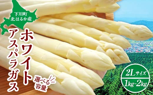 
            【先行予約】令和8年産 ホワイトアスパラガス（2Lサイズ）選べる 1kg ～ 2kg アスパラ 野菜 やさい ふるさと 納税 国産 北海道産 北海道 下川町 F4G-0285var
          