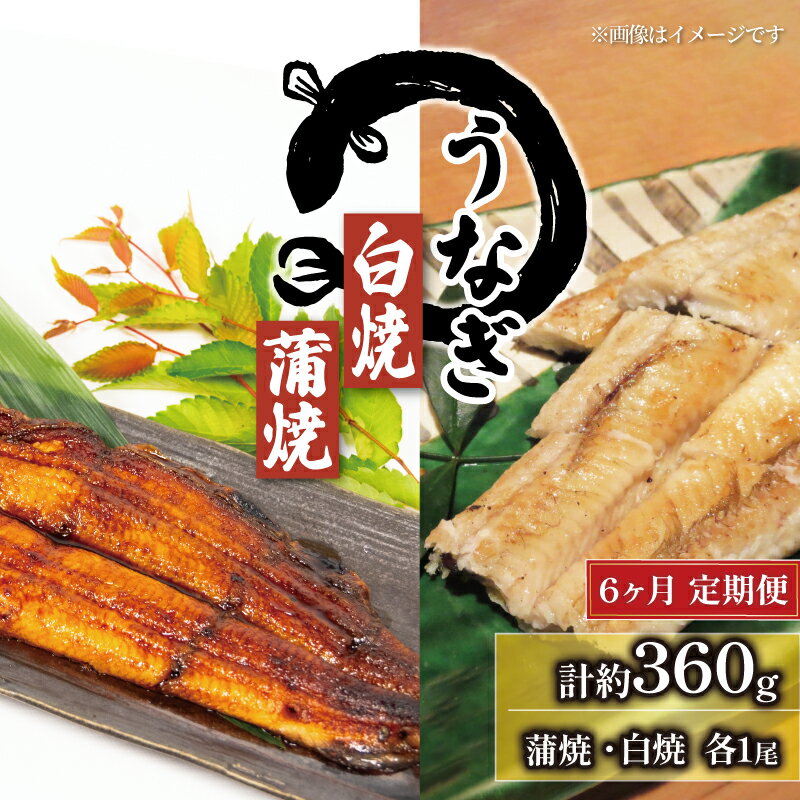 【ふるさと納税】 6回 定期便 国産 うなぎ 蒲焼 白焼 セット 約180g × 2尾 タレ付 ( 冷凍 計360g 6ヶ月 定期便 グルメ 蒲焼き 白焼き 鰻 新鮮 たれ 土曜 丑の日 真空パック おすすめ 滋賀県 竜王町 送料無料 )