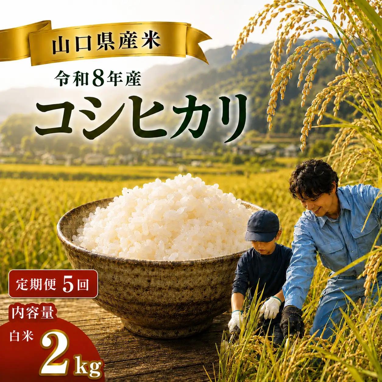 令和8年度産 山口県産 コシヒカリ 2㎏ 定期便 5回発送