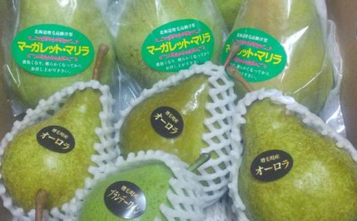 7-014-014 山口さんちの洋梨 3種詰め合わせ 5kg【9月下旬~発