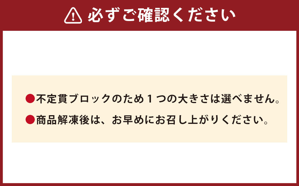 【フジチク ふじ馬刺し】馬刺し 上赤身 計約600g