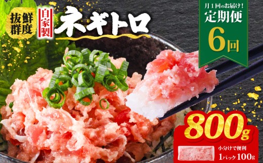 【定期便6回】ネギトロ 月1回 800g (100g×8パック) 小分け | まぐろ 定期便 鮪 ネギトロ ねぎとろ まぐろたたき まぐろのたたき マグロたたき ネギとろ ねぎトロ maguro 簡単調理 手軽 愛媛県 松山市