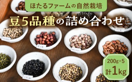 【先行予約】自然栽培の豆 5品種 約1kg 多治見市 / ほたるファーム 農家直送 豆 詰め合わせ 詰合せ まめ 大豆 黒豆 セット 自然栽培 新鮮 おいしい 旬 野菜 季節 限定 送料無料 [TEB004]